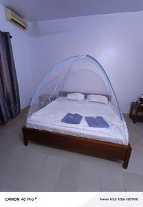 a bed with a canopy in a room at Rabbi Chambres in Mbour