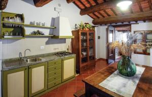 a kitchen with a sink and a vase on a table at Pet Friendly Apartment In Castiglione Del Lago in Pucciarelli