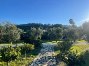 Φυσικό τοπίο κοντά σε αυτό το διαμέρισμα