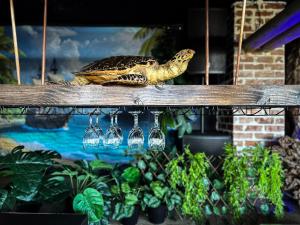 Πισίνα στο ή κοντά στο The Red Oak Guesthouse