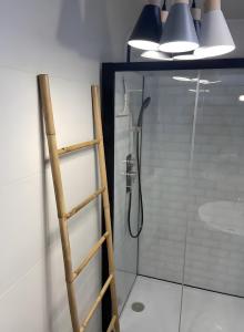 bagno con doccia con scala interna di Au Bois Dormant a Crécy-en-Ponthieu