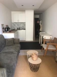アヌシーにあるCozy Studio 10 min walk Centre and Train Station!のソファとテーブルとキッチンのあるリビングルーム