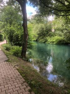 アヌシーにあるCozy Studio 10 min walk Centre and Train Station!の川沿いの小道、木の隣