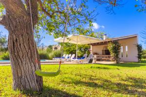 eine Hängematte, die von einem Baum neben einem Haus hängt in der Unterkunft Villa Sa Pau by Slow Villas in Ca's Concos des Cavaller + 71 Fotos