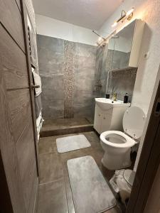 un bagno con un water e un lavandino di Medusa Gold Studio a Târgu-Mureş
