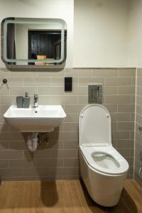 a bathroom with a toilet and a sink and a mirror at Bilyi Slon Gadzhyna in Velykyi Khodak