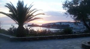 a palm tree sitting next to a body of water at Vassiliki Studios in Andros