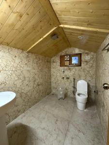 a bathroom with a toilet and a sink at The Woodpecker Inn Jibhi in Jibhi