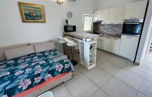 Køkken eller tekøkken på Nice Apartment In Lumbarda With Sea View