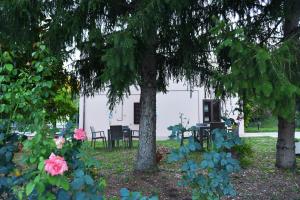 Vonkajšia záhrada v ubytovaní B&B Vetralla