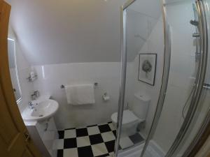 ein Badezimmer mit Dusche, Toilette und Waschbecken in der Unterkunft The Vintage - A Hidden Gem close to the Old Course in St Andrews + 26 Fotos