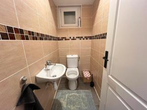 a small bathroom with a toilet and a sink at Maison moderne avec terrasse & parking in Clermont-Ferrand +12 photos