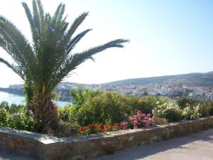 a palm tree in a retaining wall with flowers at Vassiliki Studios in Andros