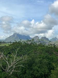 una vista de un campo con montañas en el fondo en The Palms Property, en Long Mountain