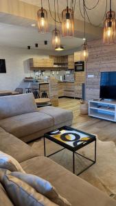 Una sala de estar con dos sofás y un televisor de pantalla plana. en Apartments Panorama Donovaly, en Donovaly