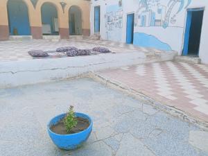 a plant in a blue pot sitting in front of a building at Arman House in Aswan +4 photos