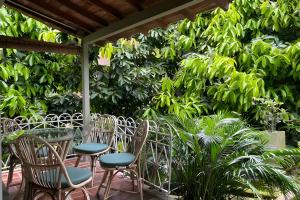 a patio with chairs and a table and plants at Apto BR Suites 6 min de Provenza, encanto natural in Medellín