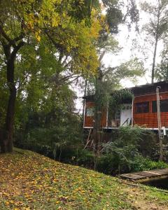 a cabin in the woods next to a tree at Cabaña Doña Teresa 2 Huéspedes in Tigre