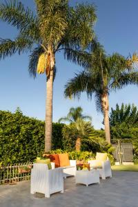 twee palmbomen met witte stoelen en palmbomen bij Villa Jelù in Castiglione di Sicilia