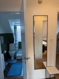 a bathroom with a toilet and a mirror at Hel ændre men hyggelig lejlighed in Sønderborg