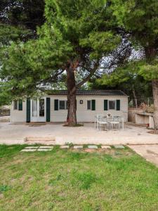 une maison avec un arbre et une table devant elle dans l'établissement Family mobile home solar powered near the sea and the airport, à Áyios Spirídhon