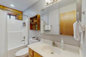 a bathroom with a sink and a toilet and a shower at Fairy Trail in Mountainaire +10 photos