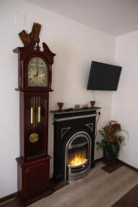 a grandfather clock and a fireplace in a room at AMA house in Alba Iulia