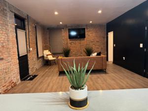 a living room with a couch and a potted plant at Jungle House Columbus Downtown Free Parking Sleeps 8 - Steps to Convention Center & Nationwide Arena - 2BR Short North Luxury Home - Over 5,800 Five Star Stays in Columbus