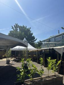 Zahrada ubytování Bright Tiny Studio with Shower & Kitchenette + 3 fotografie