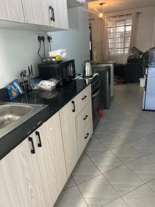 eine Küche mit Spüle und Mikrowelle in der Unterkunft El luxe Homes Muthiga in Kiambu