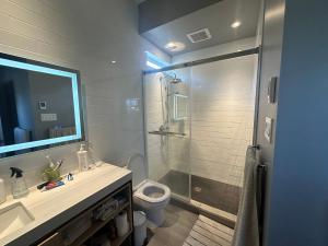 蒙特贝罗Le Refuge de la Rivière Proche du Parc Omega的浴室里有马桶、洗手池和淋浴。