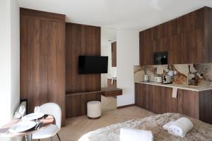 ein Wohnzimmer mit einem Bett und einem Fernseher in der Unterkunft Résidence du Lion in Belfort