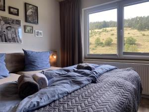 GräfenthalにあるFamilienpension Obere Juchhe, Ferienwohnung und Zimmer 1-12 Personenのベッドルーム1室(犬2匹が寝るベッド1台付)