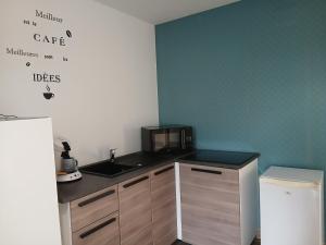 eine kleine Küche mit Spüle und Mikrowelle in der Unterkunft Studio des huis Kitchenette-Salle de bain-Terrasse 