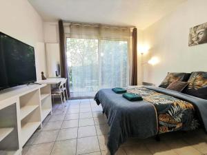 a bedroom with a bed and a desk and a television at Studio Zen I Hypercentre I Parking privé I Patio I WIFI in Salon-de-Provence