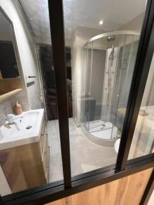 Un baño con ducha, lavabo y espejo. en Escape Room Codex Verha - Logement insolite Nancy, en Nancy