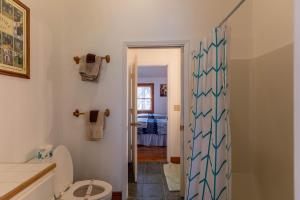 a bathroom with a shower and a toilet in it at New River Retreat in Boone +21 photos