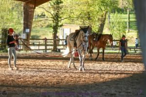 Άλλα ζώα σε αυτή η παραθεριστική κατοικία ή στη γύρω περιοχή