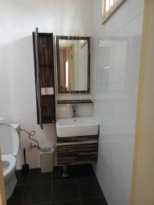 パラマリボにあるWilhelmina Hotel & Apartmentsの洗面台、トイレ、鏡のあるバスルーム