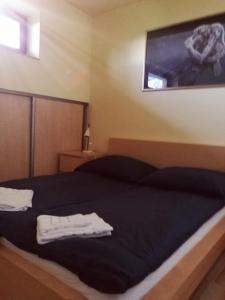 Galeriebild der Unterkunft Apartament z kogutem in Zakopane