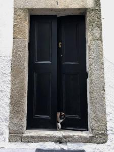 Fotografie z fotogalerie ubytování Light & Airy Historic Centre House with Balconies v Portu