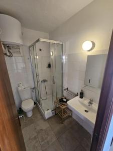 a bathroom with a toilet and a shower and a sink at Le Mirage Ibiza in San Antonio +48 photos