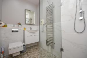 ein Badezimmer mit Dusche, Toilette und Waschbecken in der Unterkunft The Barn in Little Maplestead