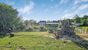 a group of animals sitting in a field at Green harmony in Litteau