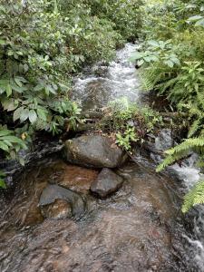 Φωτογραφία από το άλμπουμ του Casita Guarumo σε Bijagua +7 φωτογραφίες