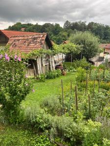 an old house with a garden in front of it at Casa Santa in Sighişoara