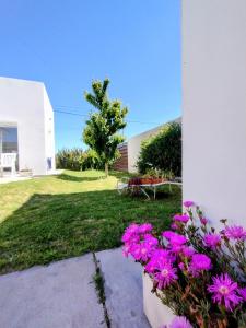 een groep roze bloemen in een tuin bij Casa con jardín Las Marías 1 in Miramar