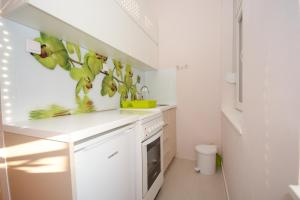 Kuhinja ili čajna kuhinja u objektu Apartment Mina +8 fotografija
