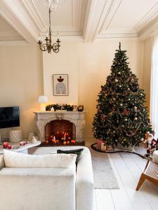 安特卫普Mansion RL with Unique Decoration的客厅里有一棵带壁炉的圣诞树