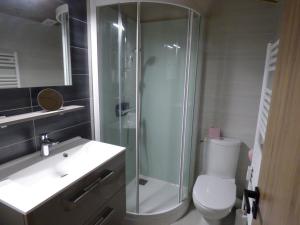 a bathroom with a shower and a toilet and a sink at Appartement rénové 8 pers avec balcon, Le Grand-Bornand - FR-1-458-138 in Le Grand-Bornand +9 photos